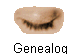 Genealog