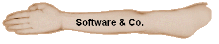 Software & Co.