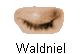 Waldniel