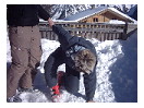 thumbnail95